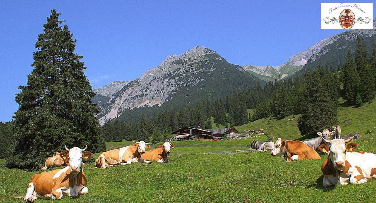 Ferienhaus Erika Seefeld in Tirol Luaran gambar